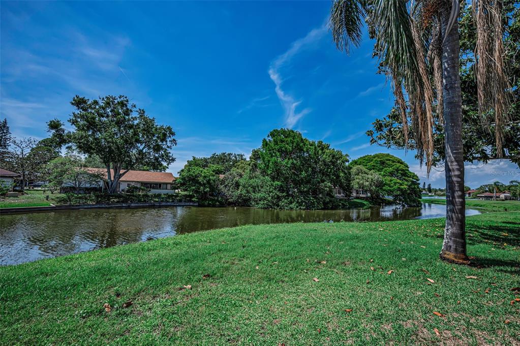 A sunroom features a light green sofa, carpeted flooring, a ceiling fan, and large windows — 3835 LIGHTHOUSE WAY, NEW PORT RICHEY, FL