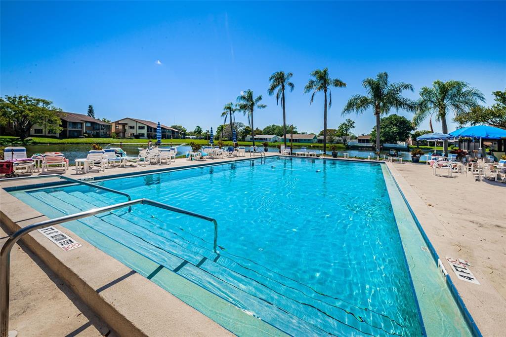 A large outdoor swimming pool with steps and palm trees sits beside a lake — 3835 LIGHTHOUSE WAY, NEW PORT RICHEY, FL
