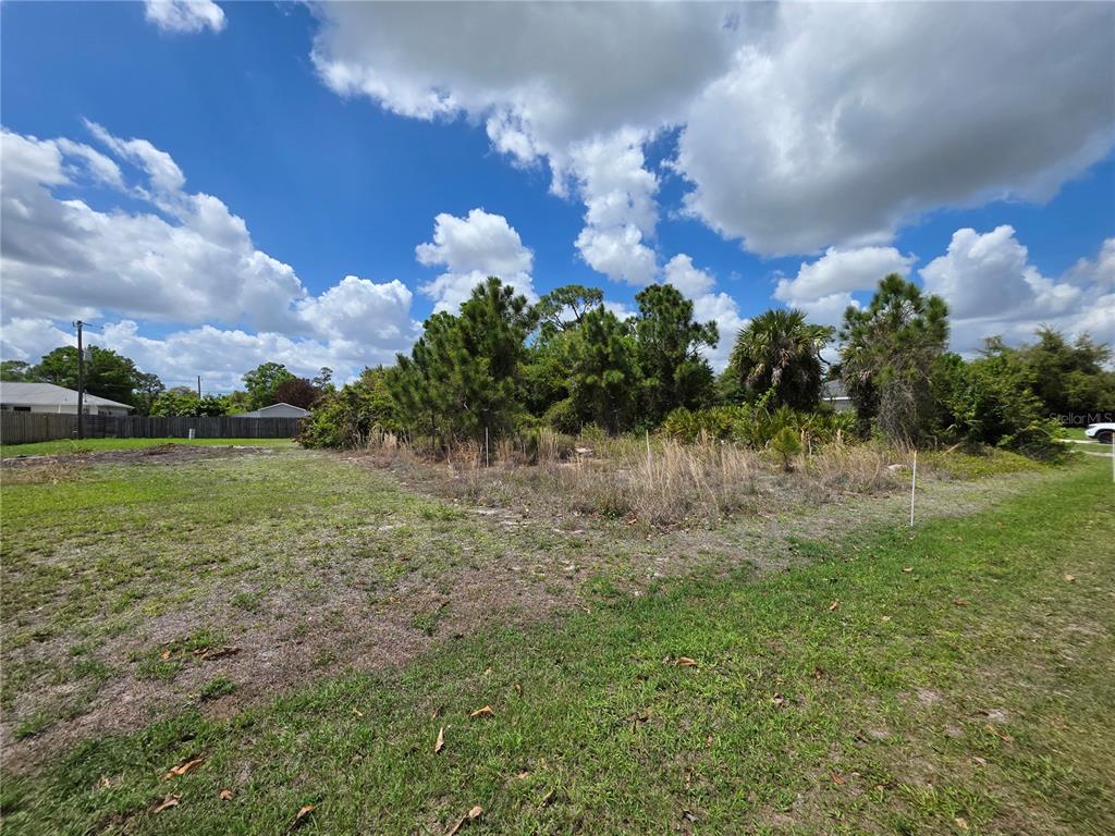 A grassy, vacant residential lot features scattered trees and shrubs under a cloudy blue sky — 215 FLETCHER STREET, PORT CHARLOTTE, FL