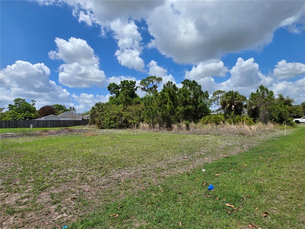 A grassy, vacant lot features a dense cluster of trees and shrubs in the background — 215 FLETCHER STREET, PORT CHARLOTTE, FL