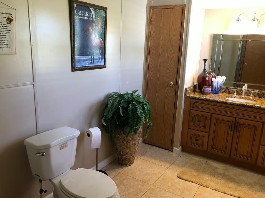 A bathroom featuring a toilet, a potted fern, a wooden door, and a granite vanity — 6741 NW 193rd Street, FL 32686, FL