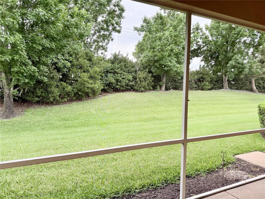 A view of a grassy backyard and trees from behind a screened-in patio enclosure — 11479 52ND COURT E, PARRISH, FL