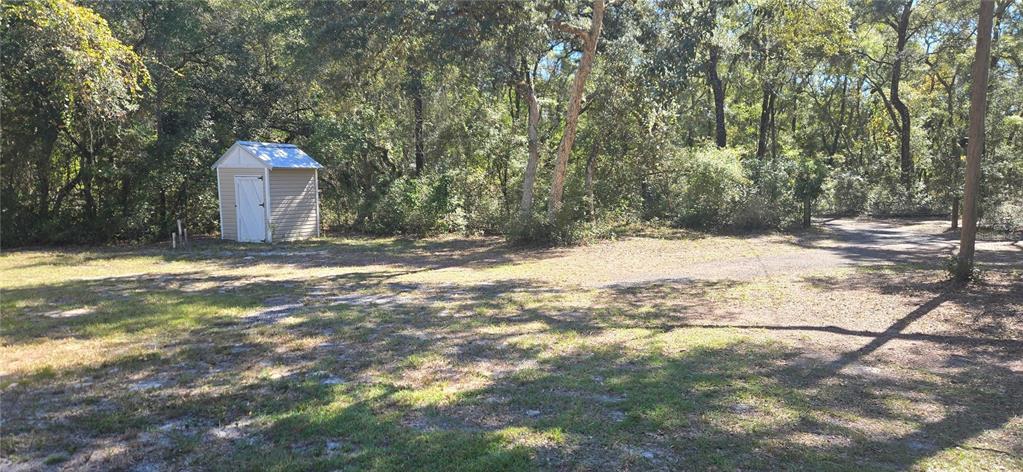 A small storage shed sits on a grassy lot surrounded by trees and brush — 11150 NW 78TH AVENUE, CHIEFLAND, FL