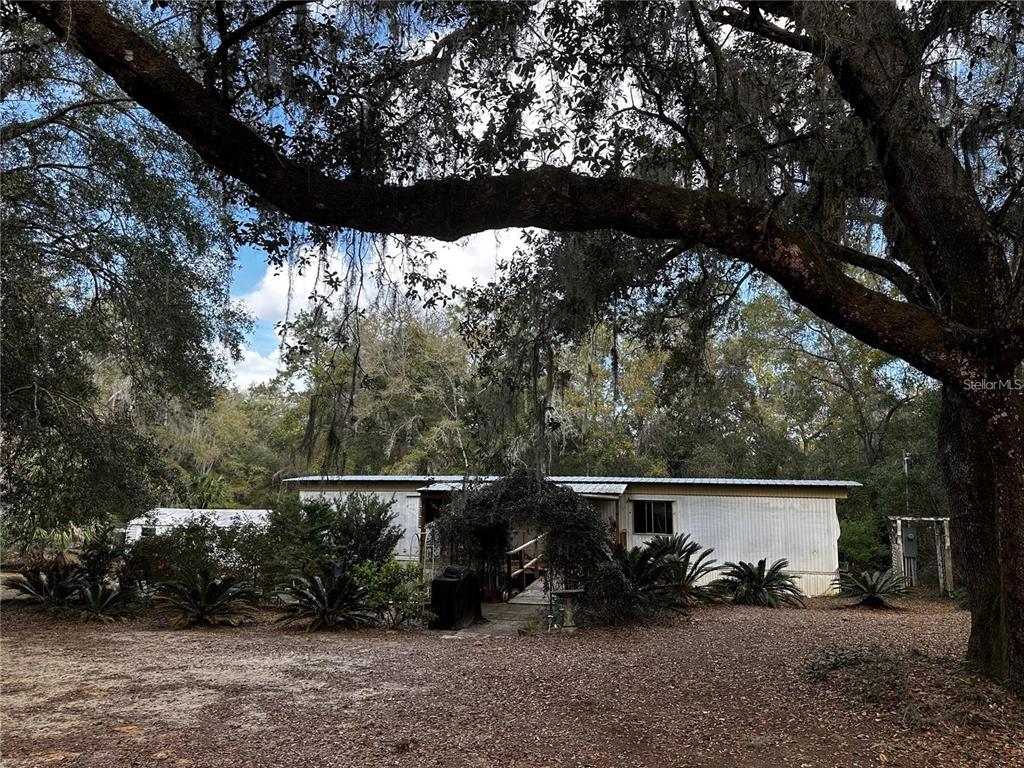 A single-story mobile home sits under large oak trees in a wooded, dirt-covered yard — 12212 NE 238TH TERRACE, SALT SPRINGS, FL