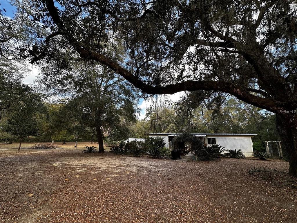 A single-story mobile home sits on a wooded lot beneath large, moss-draped oak trees — 12212 NE 238TH TERRACE, SALT SPRINGS, FL