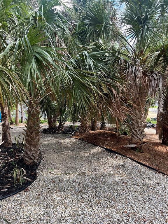 A gravel path winds through a cluster of palm trees in a landscaped yard — 141 HOFFER STREET, PORT CHARLOTTE, FL