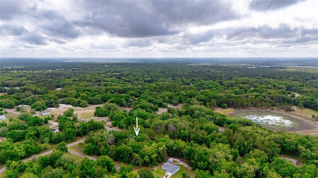 An aerial view shows a wooded lot marked by an arrow near a residential street — 15 MAGNOLIA DRIVE, OCKLAWAHA, FL