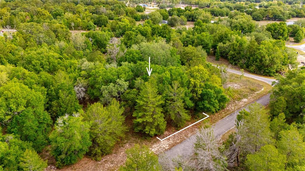 An aerial view shows a wooded, undeveloped lot with a white line marking its road frontage — 15 MAGNOLIA DRIVE, OCKLAWAHA, FL