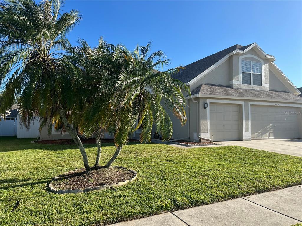 A two-car garage house with a palm tree in the front yard under a clear sky — 22736 BELTREES COURT, LAND O LAKES, FL