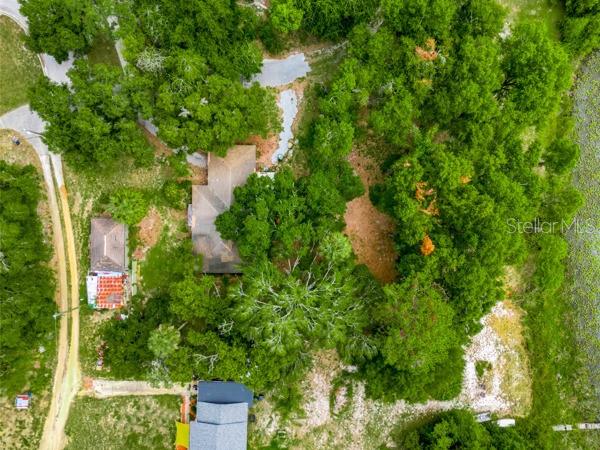 An aerial view shows a house, a smaller structure, and a driveway surrounded by dense trees — 14436 CLERANDO DR, CLERMONT, FL