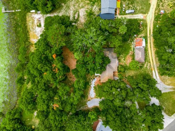 Aerial view of a wooded residential lot with a house and a dock on a lake — 14436 CLERANDO DR, CLERMONT, FL