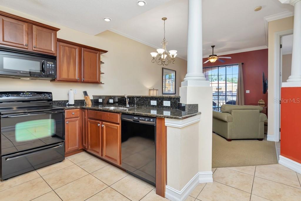 A kitchen with dark wood cabinets, black appliances, and granite countertops overlooks a living area — 13941 CLUBHOUSE DRIVE UNIT 103, TAMPA, FL