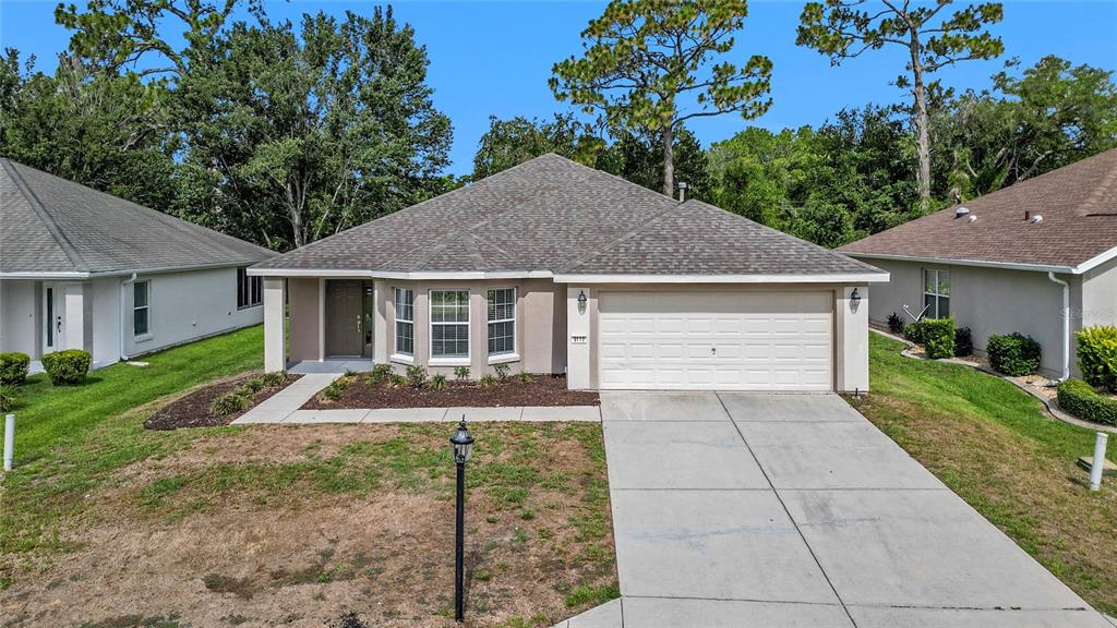 A single-story house with a beige exterior, a two-car garage, and a concrete driveway — 9119 SE 120TH LOOP, SUMMERFIELD, FL