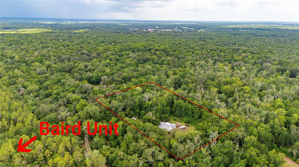 An aerial view shows a house nestled within a dense forest, outlined in red — 14702 CR 719, WEBSTER, FL
