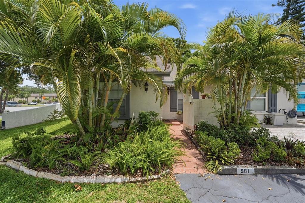 A brick walkway leads to the entrance of a house surrounded by lush palm trees — 561 LAGUNA VISTA COURT, LARGO, FL