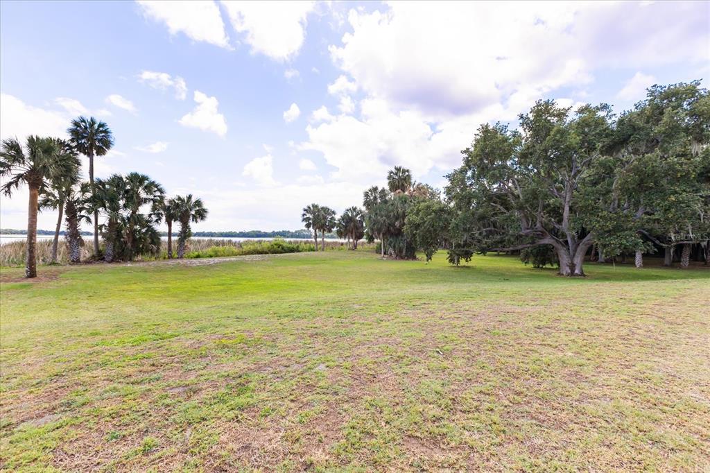 A grassy lawn leads to a line of palm and oak trees overlooking a lake — TBD DEER ISLAND ROAD, TAVARES, FL