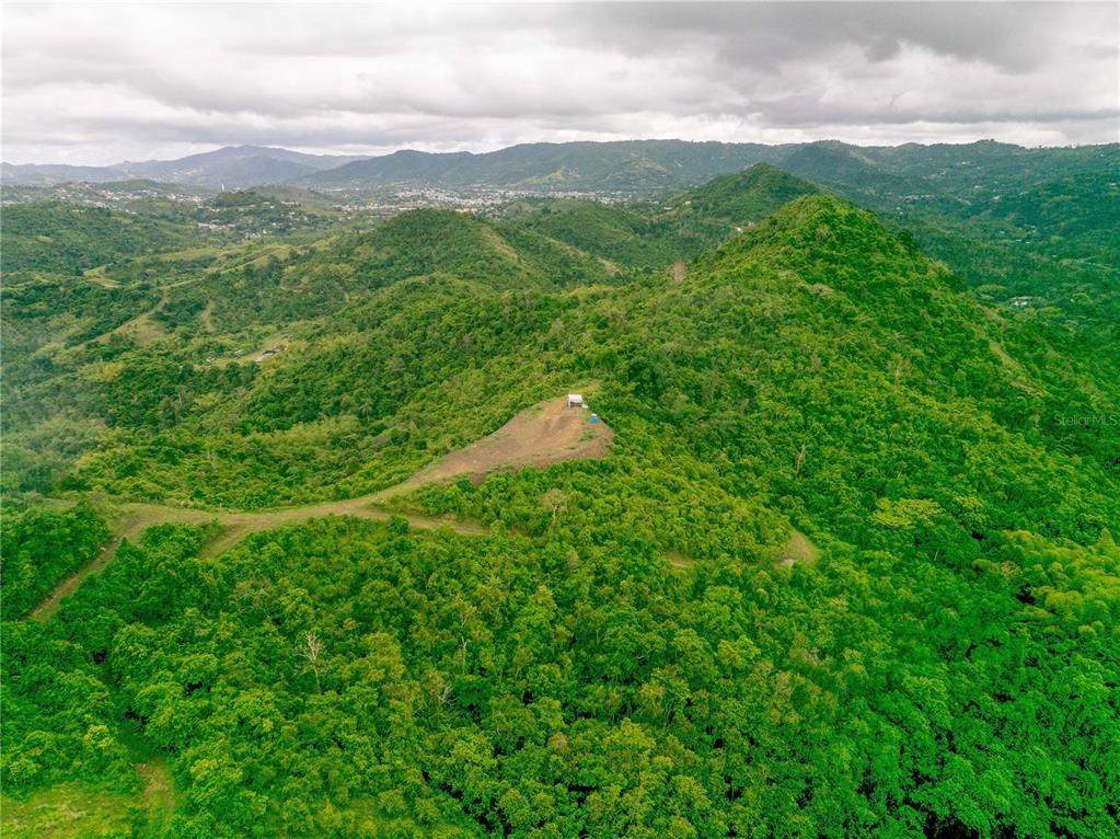 An aerial view shows a small structure on a cleared hilltop surrounded by dense forest — INTERIOR BO MATON ABAJO MATÓN ABAJO, CAYEY, PR
