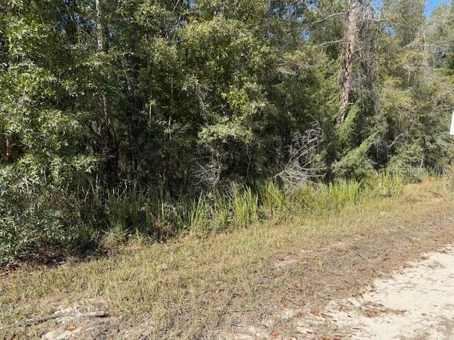 108TH AVENUE NE, BRONSON, FL — photo 2 of 4