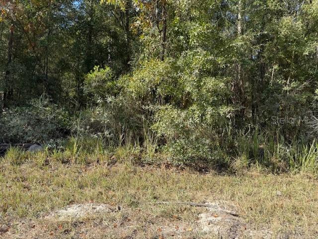 108TH AVENUE NE, BRONSON, FL — photo 3 of 4