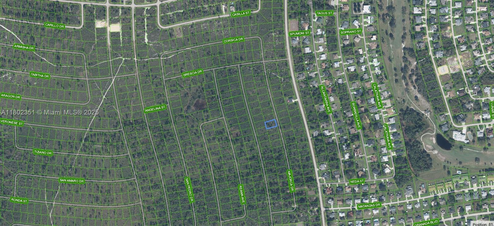 This is a map showing a highlighted vacant lot in a residential neighborhood — 4601 MAJORCA, Sebring FL 33872, SEBRING, FL