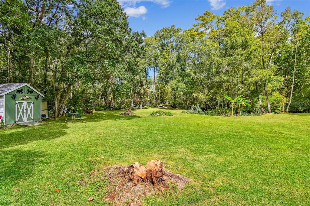 A single-story house with a garage and a metal carport in a grassy yard — 9741 STAR TRAIL, NEW PORT RICHEY, FL