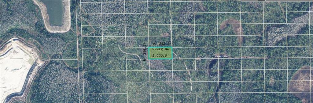 This is an aerial map showing a highlighted rectangular plot of land in a wooded area — DILL ROAD, ORLANDO, FL