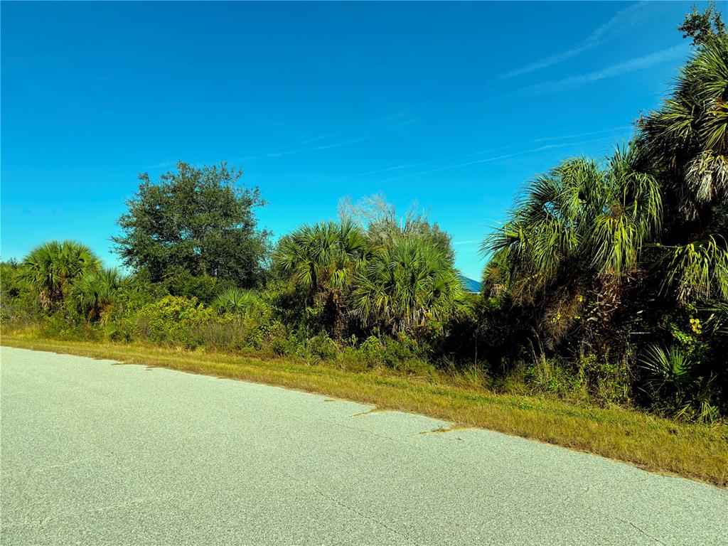 A paved road runs alongside a plot of land with dense trees and palm bushes — 7232 WALCOTT ROAD, PORT CHARLOTTE, FL
