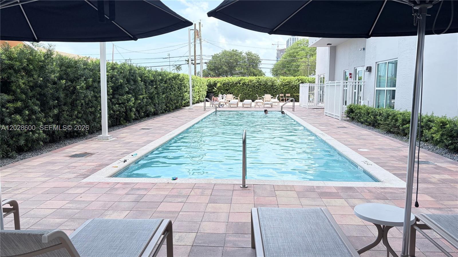 An outdoor swimming pool is surrounded by a paved deck, lounge chairs, and privacy hedges — 2665 SW 37th Ave # 405, Miami FL 33133, MIAMI, FL