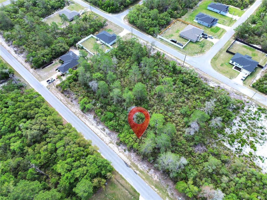 An aerial view shows a wooded, undeveloped residential lot marked with a red location pin — TBD FISHER PASS, OCKLAWAHA, FL