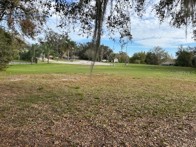A grassy, open lot features scattered trees and Spanish moss under a blue sky — CANVASBACK PLACE, LAKELAND, FL