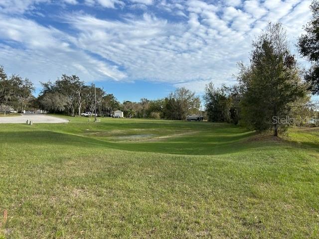 A grassy, sloped lot features a small depression and surrounding trees under a cloudy sky — CANVASBACK PLACE, LAKELAND, FL