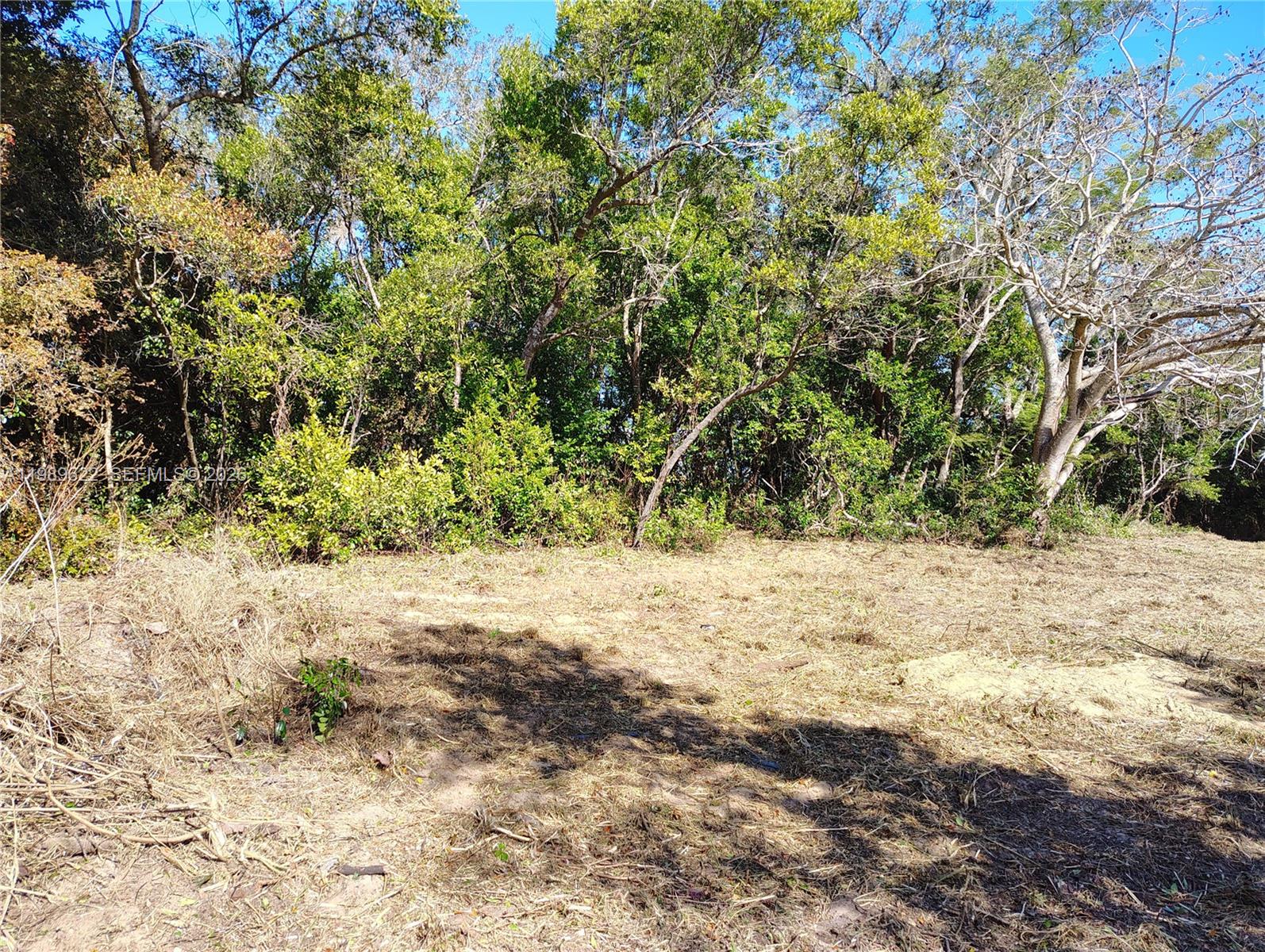 back of lot — 3505 Bethune, Sebring FL 33876, SEBRING, FL
