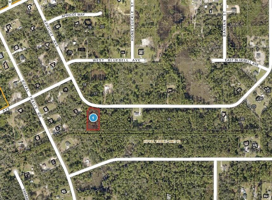 APRICOT AVENUE, EUSTIS, FL — photo 2 of 14