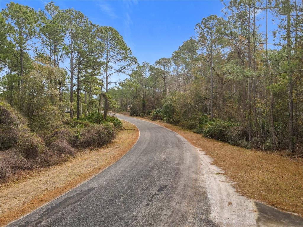 APRICOT AVENUE, EUSTIS, FL — photo 3 of 14