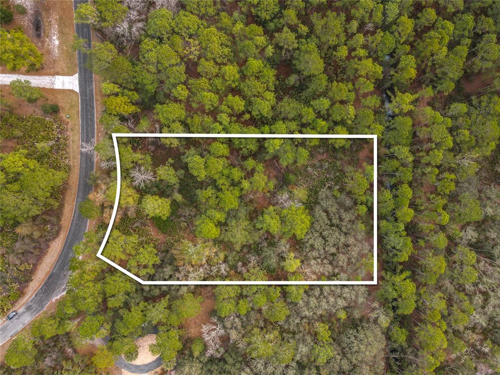 APRICOT AVENUE, EUSTIS, FL — photo 5 of 14