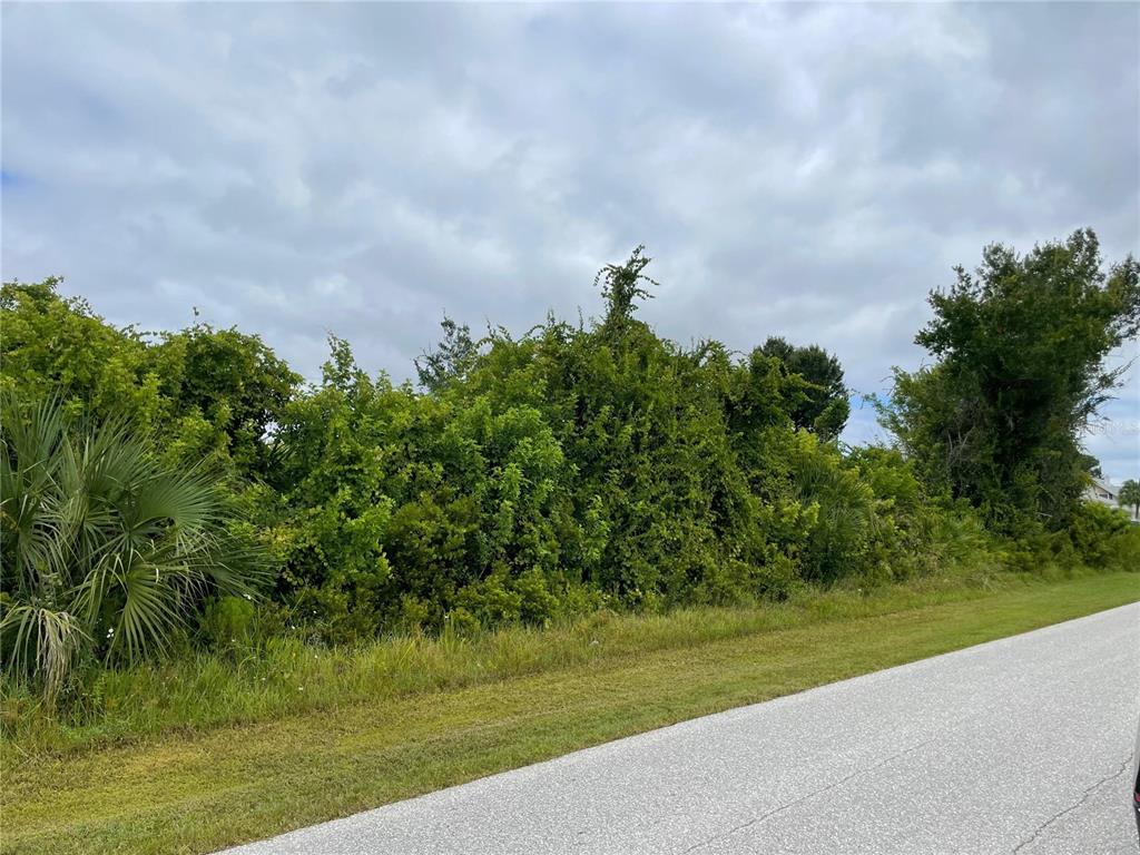 A paved road runs alongside a dense, overgrown lot filled with trees and shrubs — 11216 CARNEGIE AVENUE, ENGLEWOOD, FL