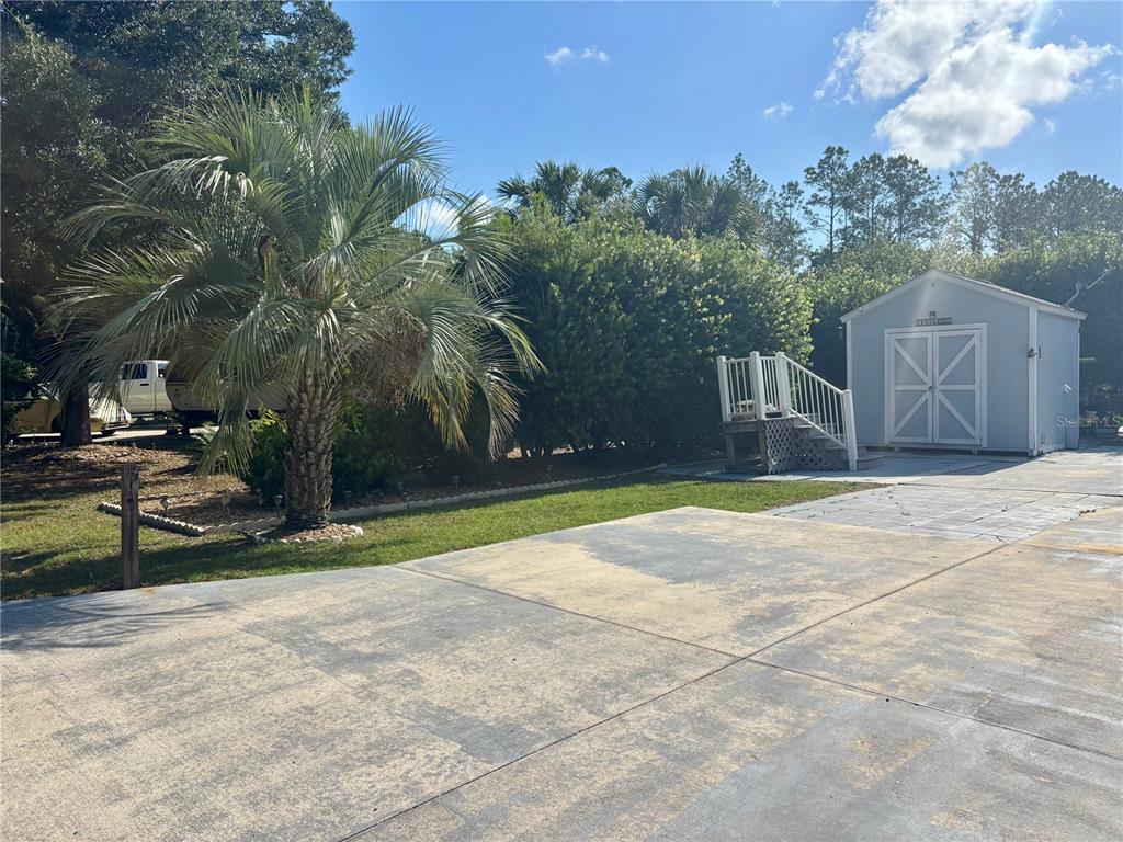 A paved driveway leads to a shed with stairs and a palm tree in the yard — 3273 NE 102ND AVENUE ROAD, SILVER SPRINGS, FL