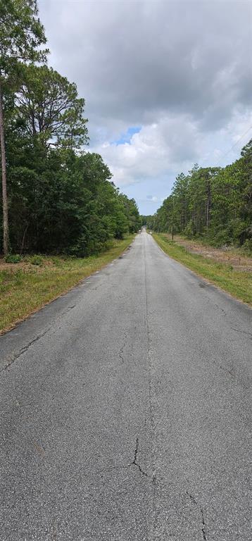A paved road stretches into the distance, flanked by dense green trees under a cloudy sky — 0 NW ASPEN LANE, DUNNELLON, FL