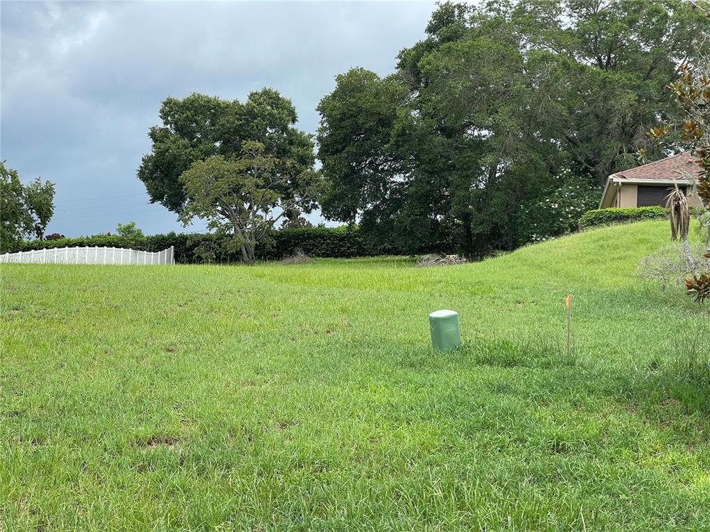 A grassy, sloped residential lot features a utility box, trees, and a neighboring house — LOT 51 MAGNOLIA TERRACE BOULEVARD, MONTVERDE, FL
