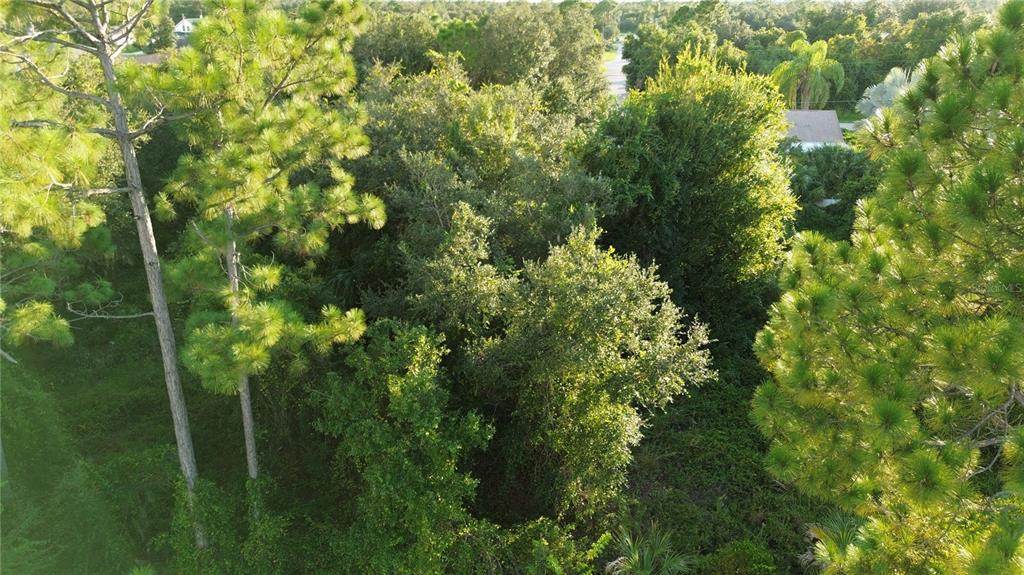 An aerial view of a densely wooded, undeveloped residential lot with various trees and shrubs — KINGSMAN AVENUE, NORTH PORT, FL