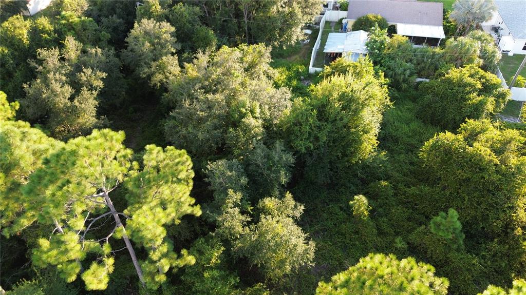 An aerial view shows a densely wooded lot adjacent to a residential house — KINGSMAN AVENUE, NORTH PORT, FL