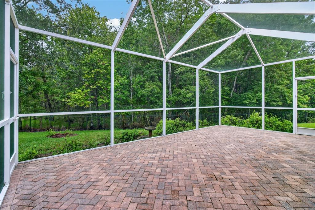 A screened-in patio with brick paver flooring overlooks a grassy yard and dense woods — 11156 MERGANSER WAY, NEW PORT RICHEY, FL