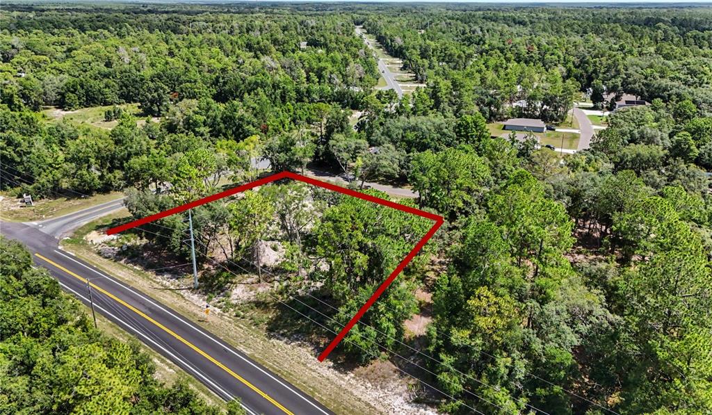 An aerial view shows a wooded, undeveloped lot outlined in red next to a road — 3 BAY DRIVE, OCKLAWAHA, FL