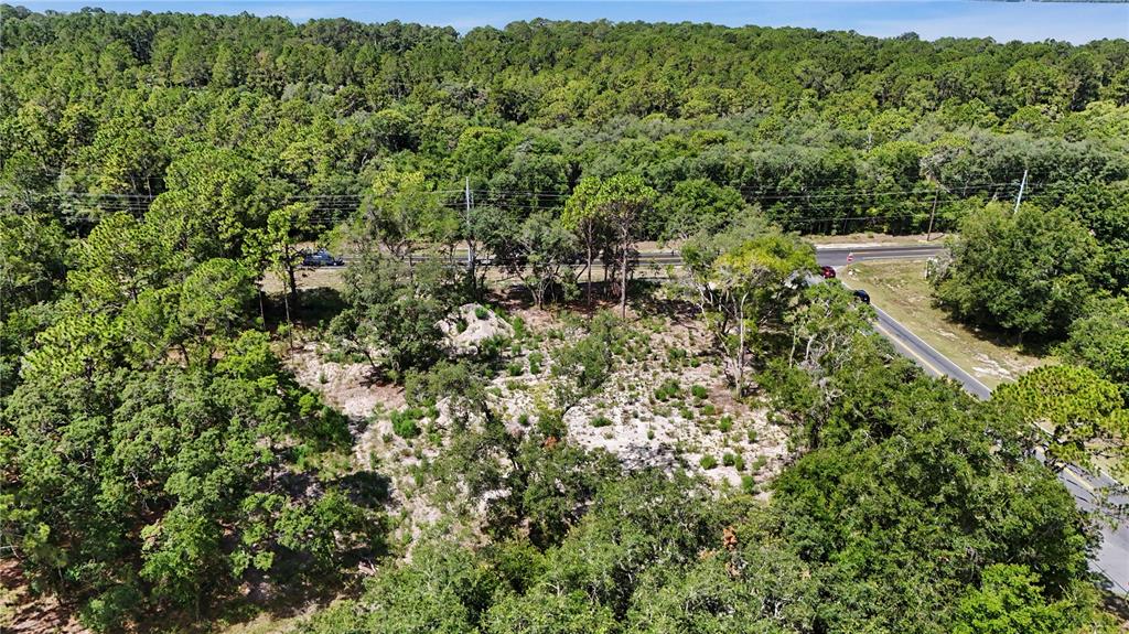 An aerial view shows a vacant, sandy lot surrounded by dense trees and a road — 3 BAY DRIVE, OCKLAWAHA, FL