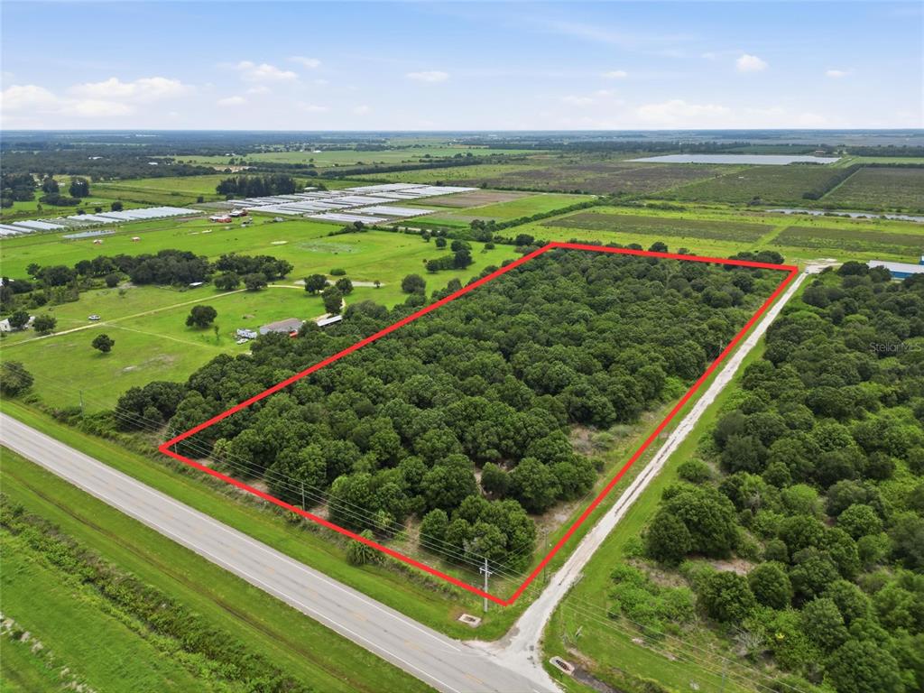 An aerial view shows a rectangular plot of land densely covered with trees — SE HWY 31, ARCADIA, FL