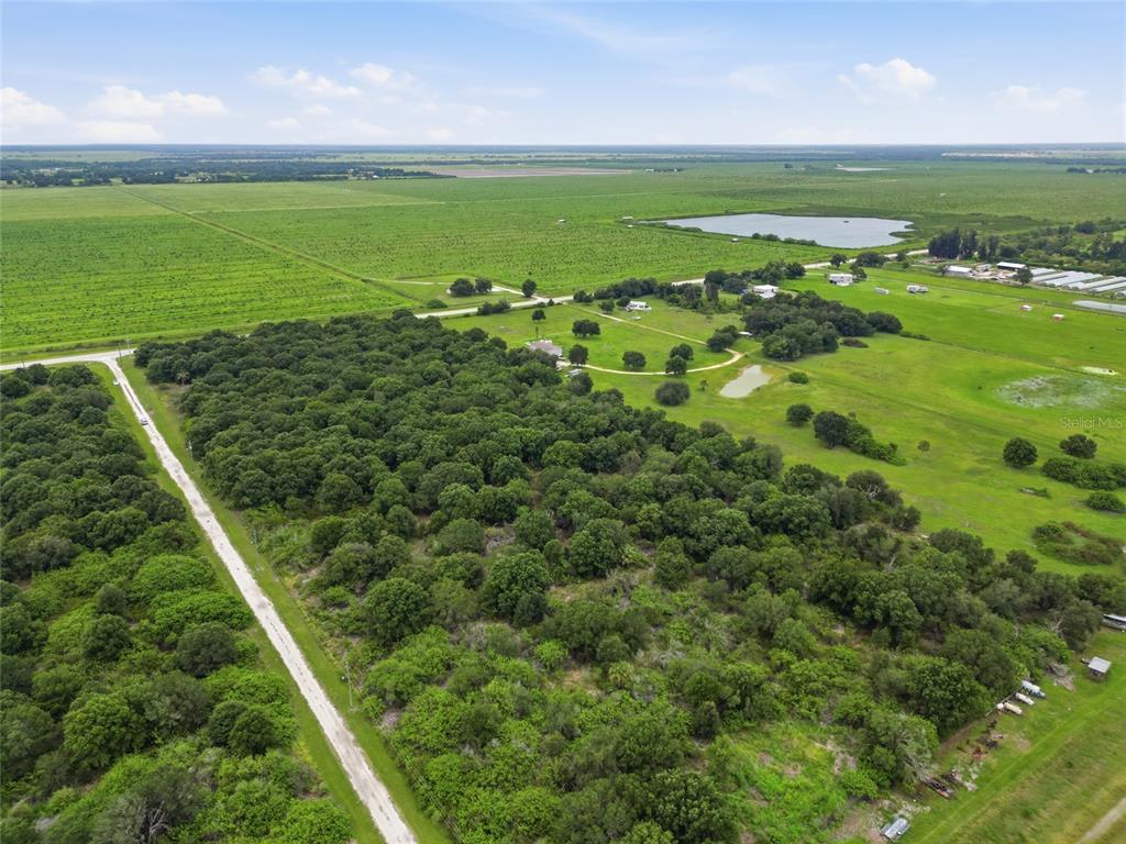 An aerial view shows a large rural property featuring dense woods, open pastures, and ponds — SE HWY 31, ARCADIA, FL