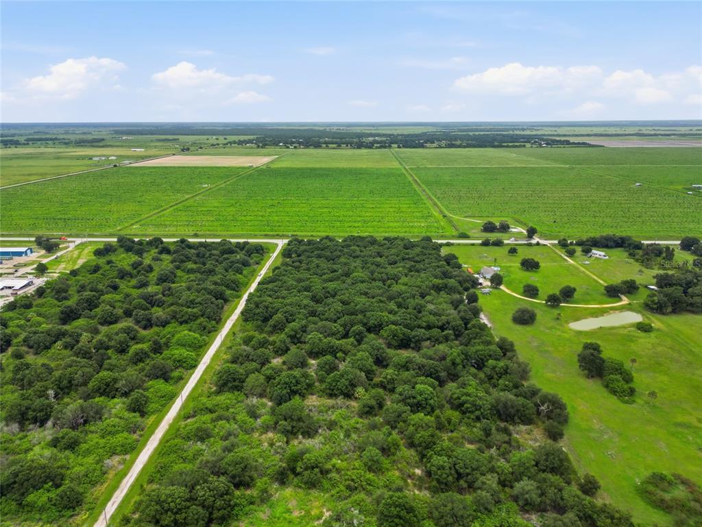 An aerial view shows a large wooded lot adjacent to open fields and a road — SE HWY 31, ARCADIA, FL