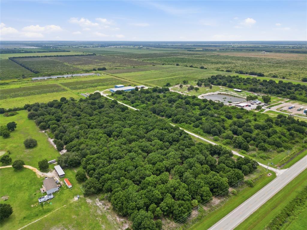 An aerial view shows a large wooded property with a house, outbuildings, and a pond — SE HWY 31, ARCADIA, FL