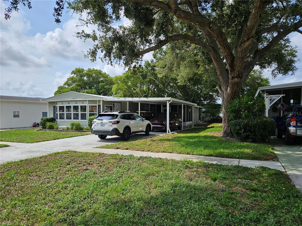 A light green mobile home with a carport and driveway sits under a large tree — 217 LAKE TARPON DRIVE UNIT 24, PALM HARBOR, FL