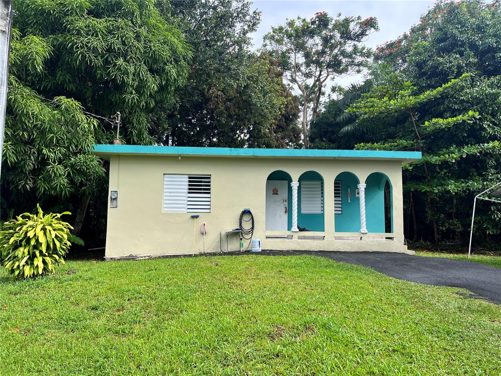 935 CEIBA NORTE, JUNCOS, PR — photo 4 of 29